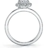 Eternal Diamond Halo Engagement Ring 4